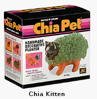 chia seeds