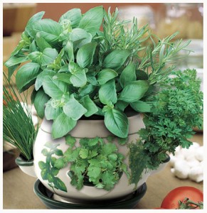 Fresh herbs add flavour