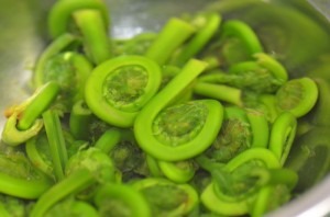 Fiddleheads