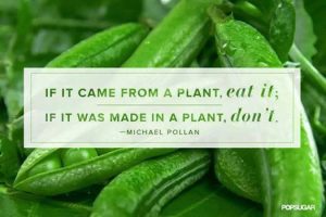 Michael Pollan quote